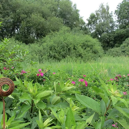 Apartmán Ostfriesland Zu Zweit 65359 *